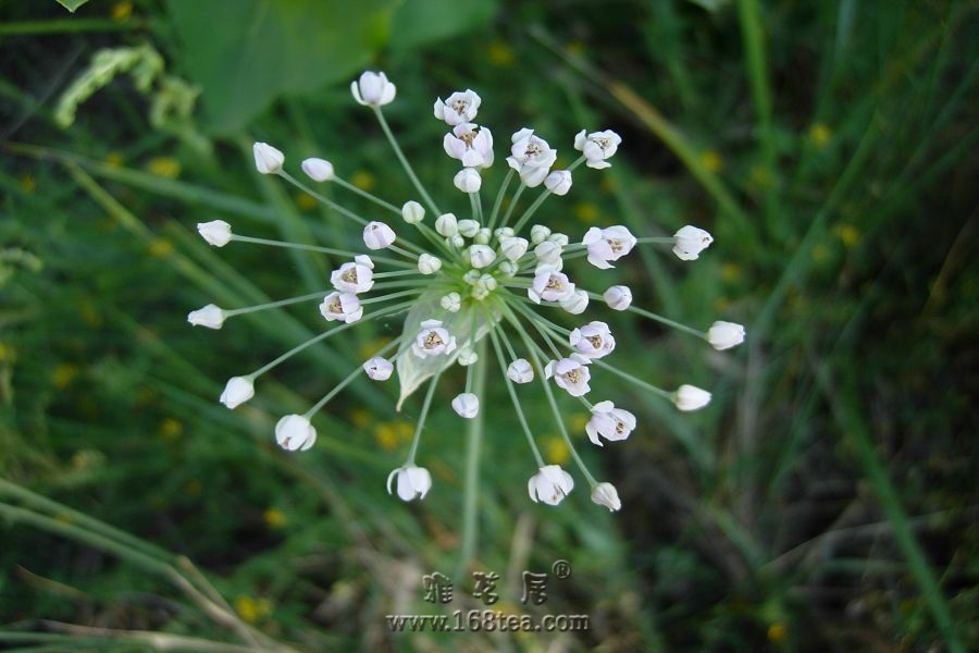 DSCN1016.JPG