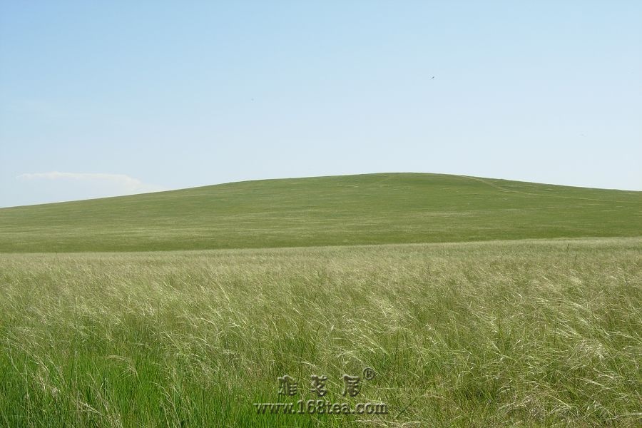 DSCN0808.JPG