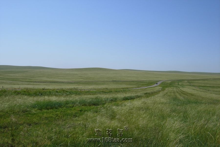 DSCN0816.JPG