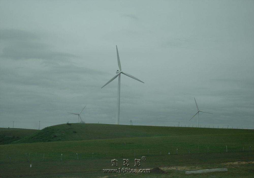 DSCN0121.JPG