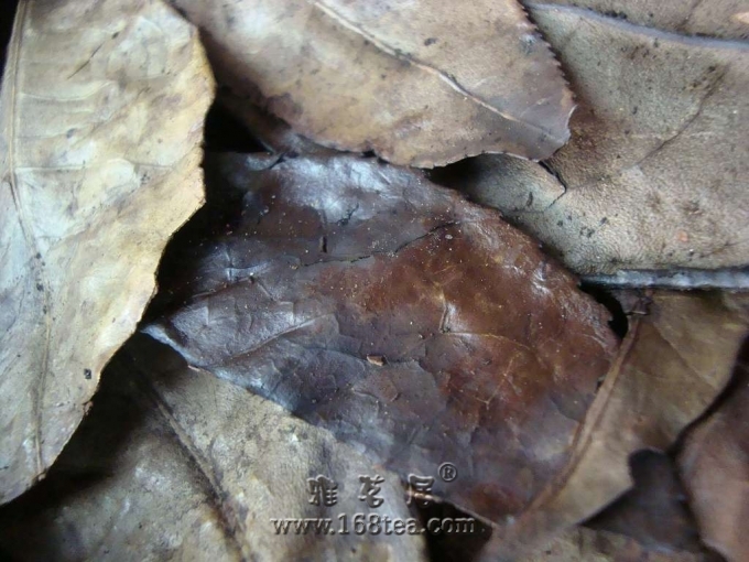 DSC04480_Ŀѹ.jpg