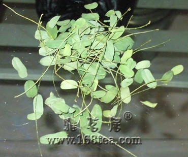 20110129001_.jpg