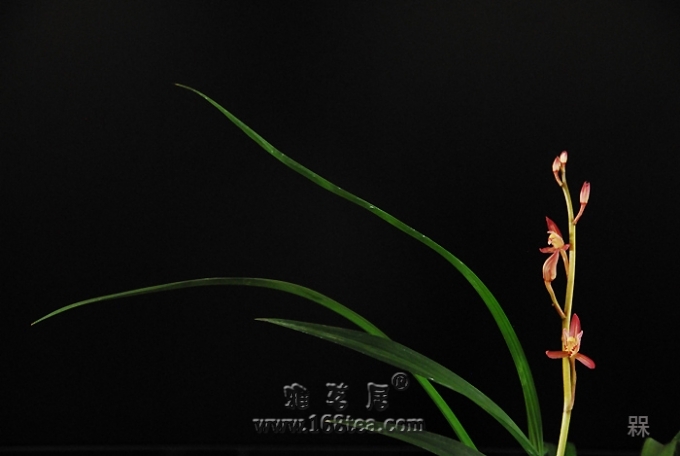 MAY_8276.jpg