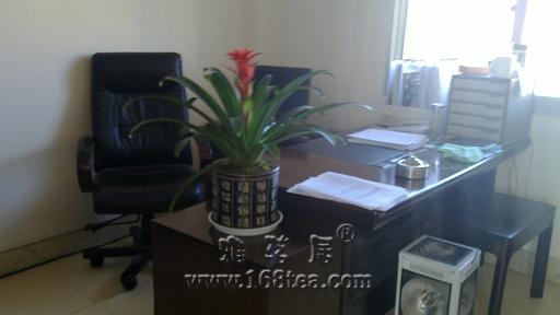 20101205_001.jpg