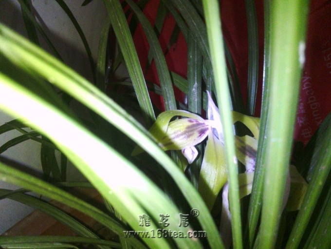 IMG_20130303_172114.JPG