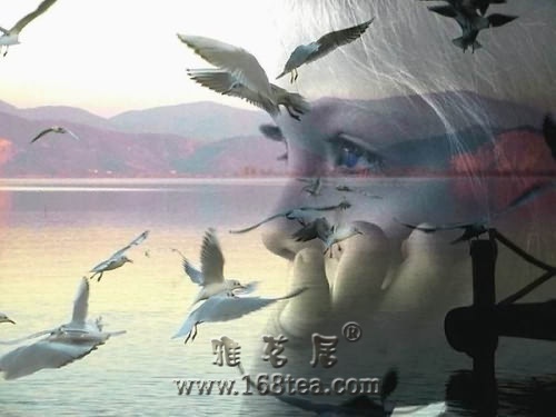 一个爱上浪漫的人