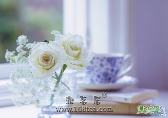 ��ӭ�������׼����������!