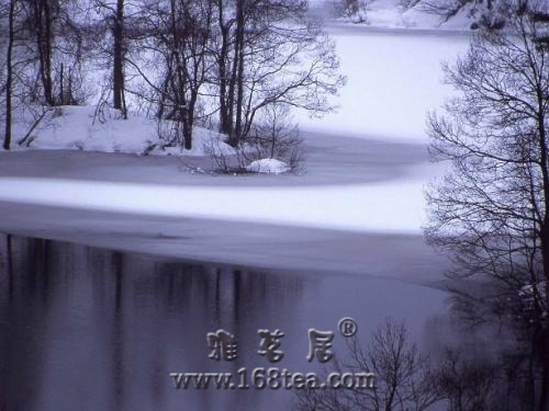 2007ĵһѩ