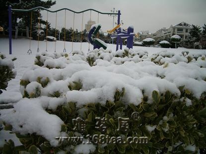 [][ԭ]2008ĵһѩ