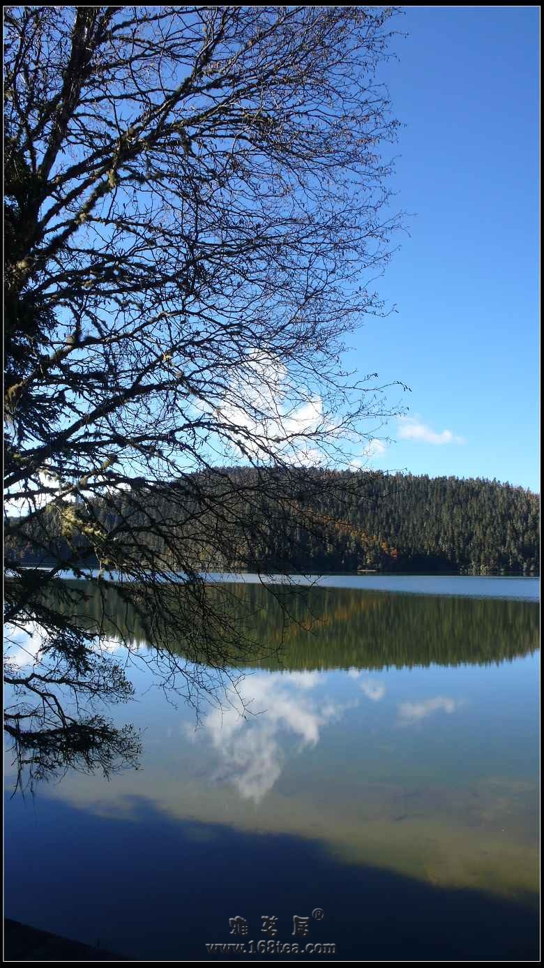 ֮----