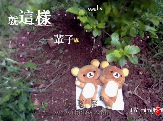 迨