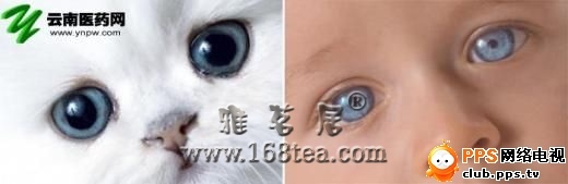ɰģ