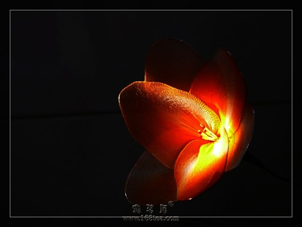 ֮