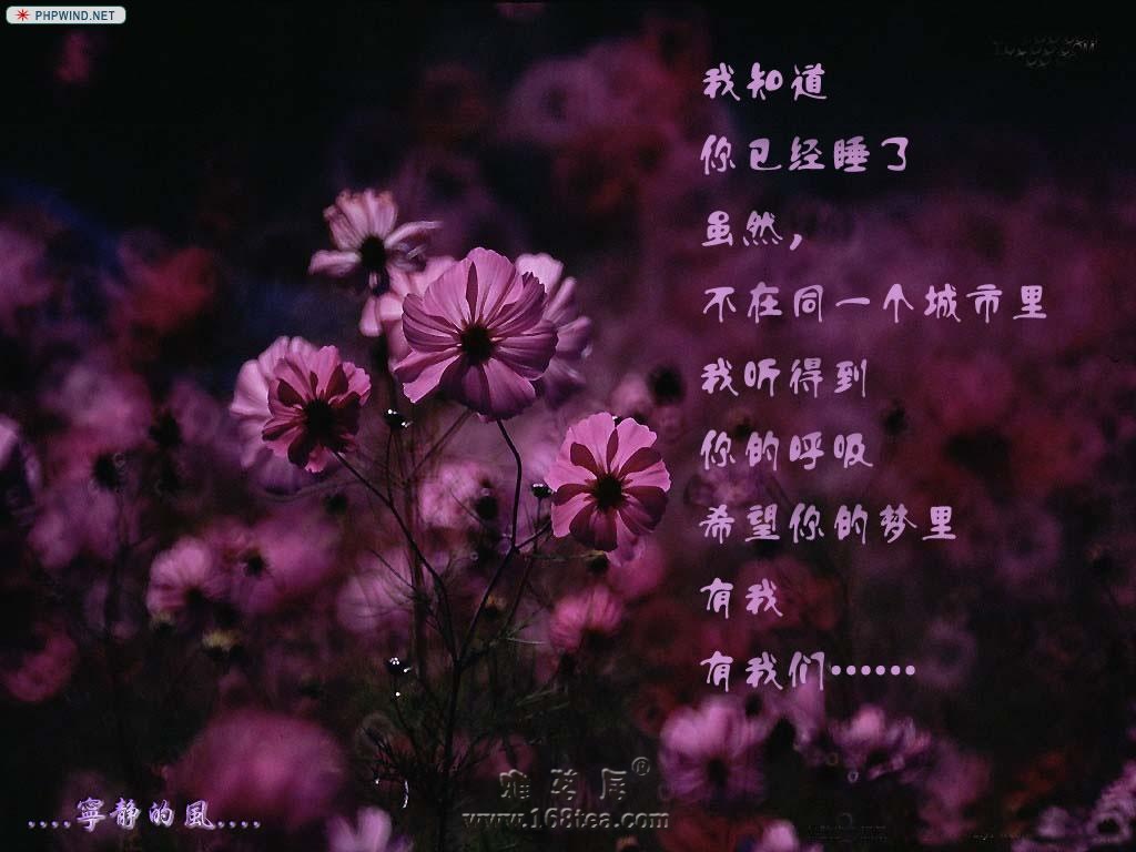 ,һ˼.....