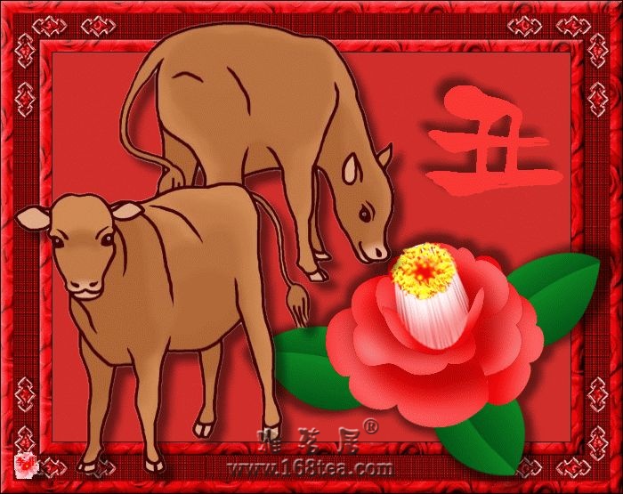Ƥţţ