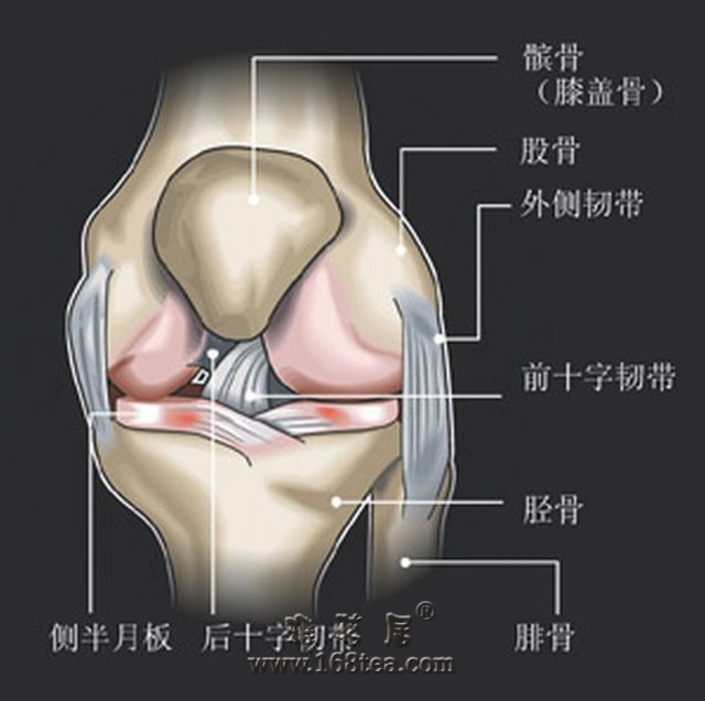 膝盖的养护-膝关节病穴位按摩方法