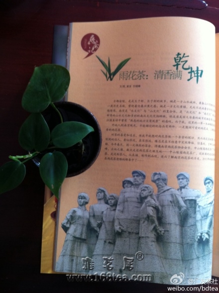 1109껨.jpg