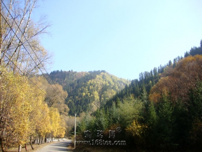 DSC01669.JPG
