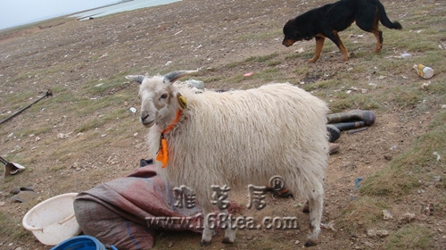 ĳᡣɱ˻ı
