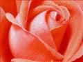 һ