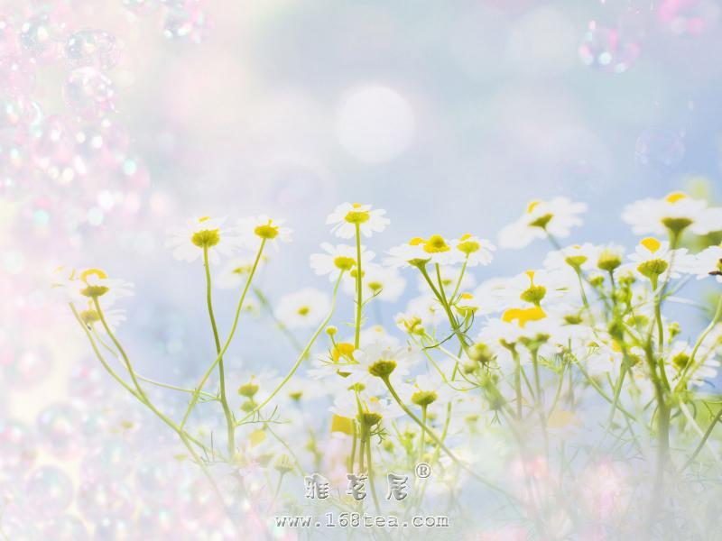 2fb81b197c71151442a9ad91.jpg