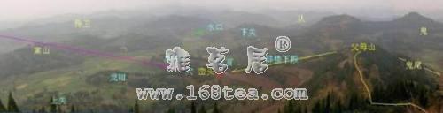 11a3bbb3f17.jpg