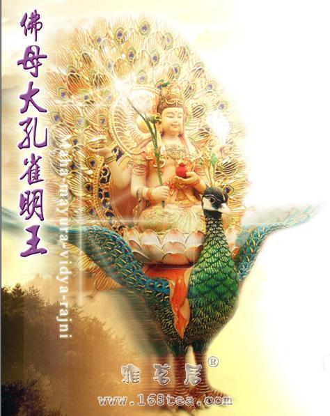 20104330114310.jpg